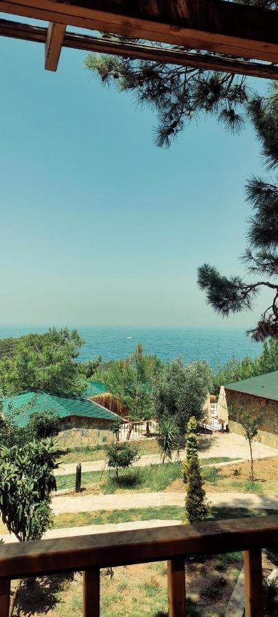 Rocas Roja Beach Hotel Faralya Zewnętrze zdjęcie