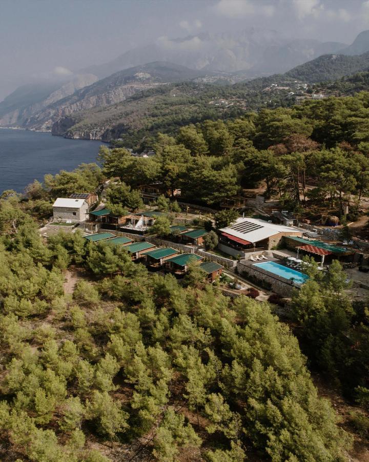 Rocas Roja Beach Hotel Faralya Zewnętrze zdjęcie